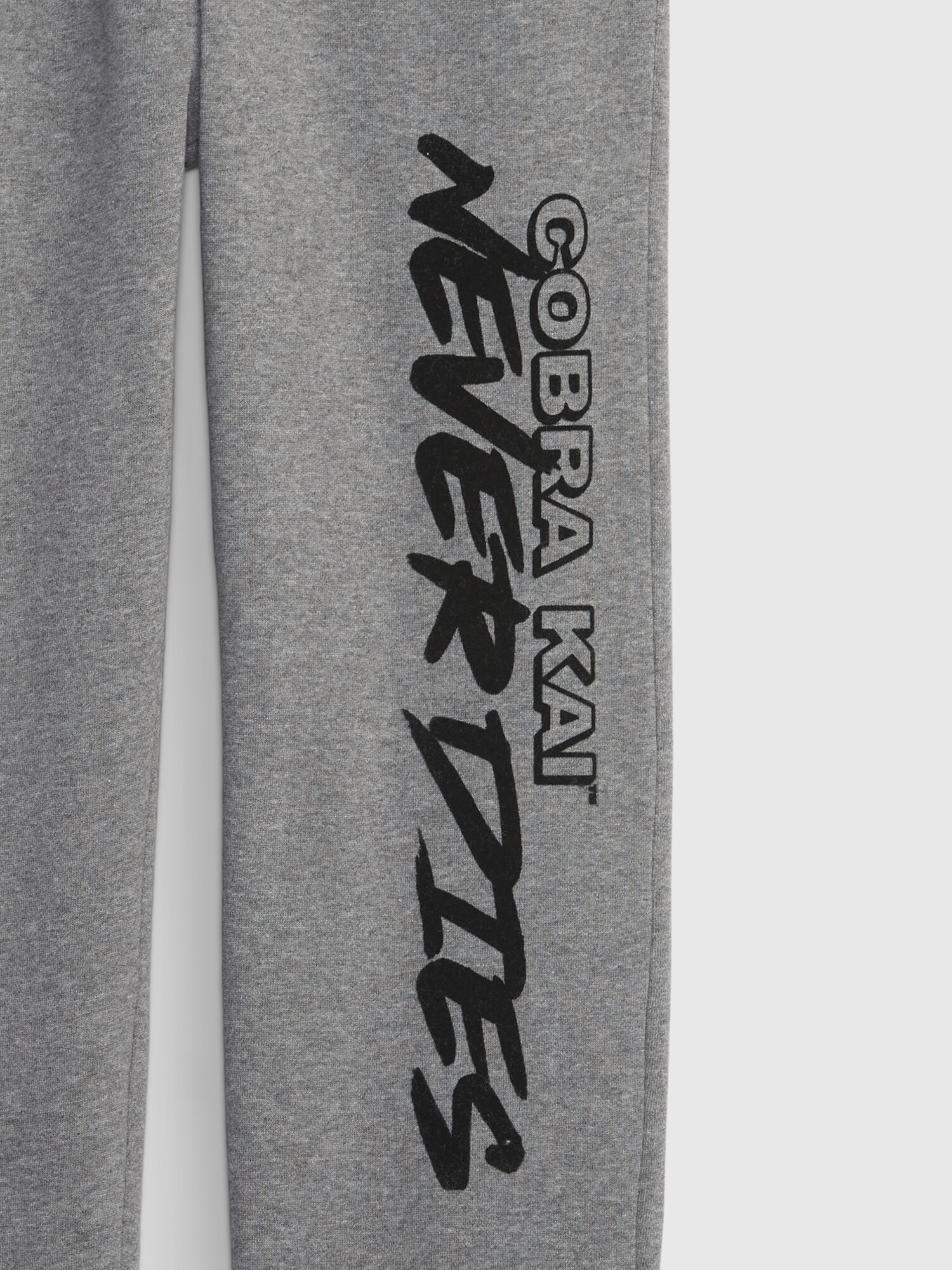 コブラ会 ジョガー (キッズ)-2