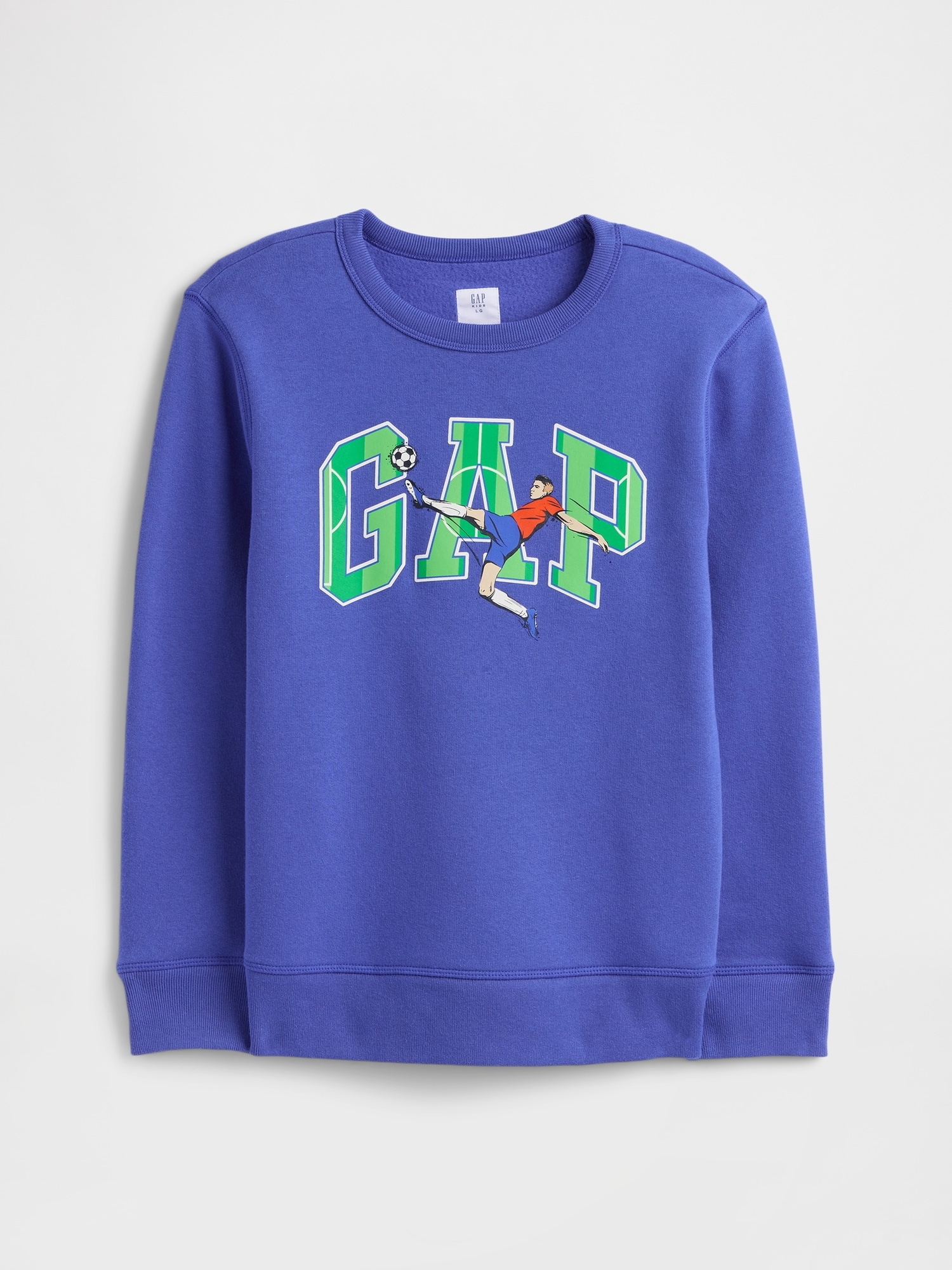 Kids Gap Logo Sweatshirt