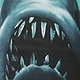 ヘビーウェイト オーガニックコットン グラフィックTシャツ (キッズ)
