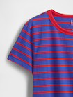 オーガニックコットン ヴィンテージソフト クロップドTシャツ-2