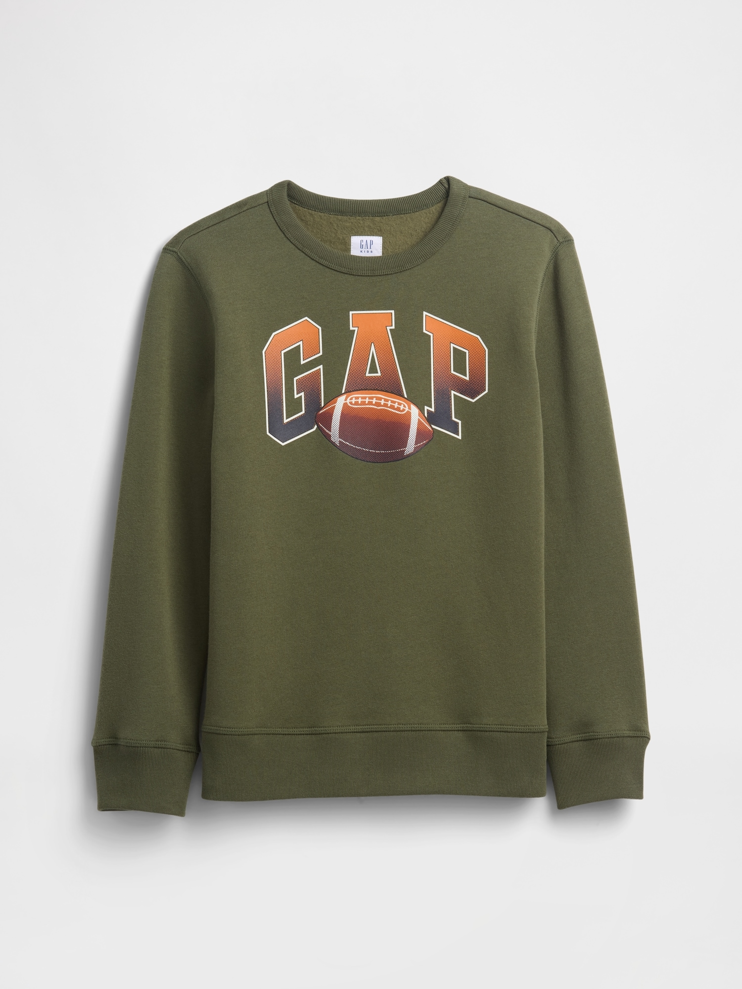 Kids Gap Logo Sweatshirt