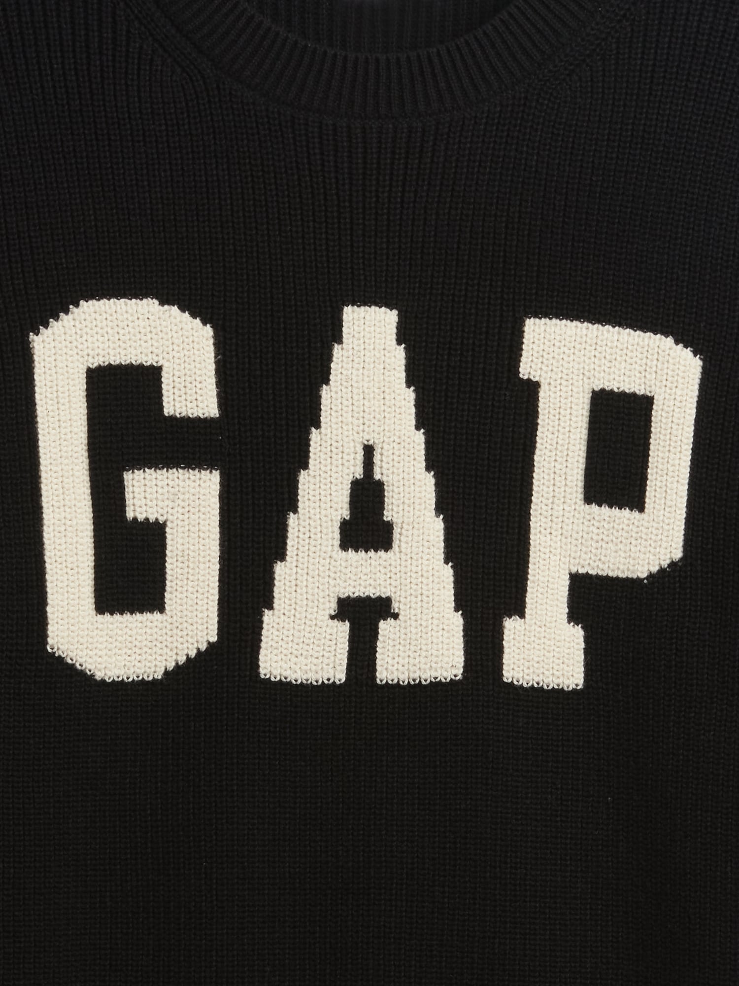 GAPロゴ インターシャセーター-3