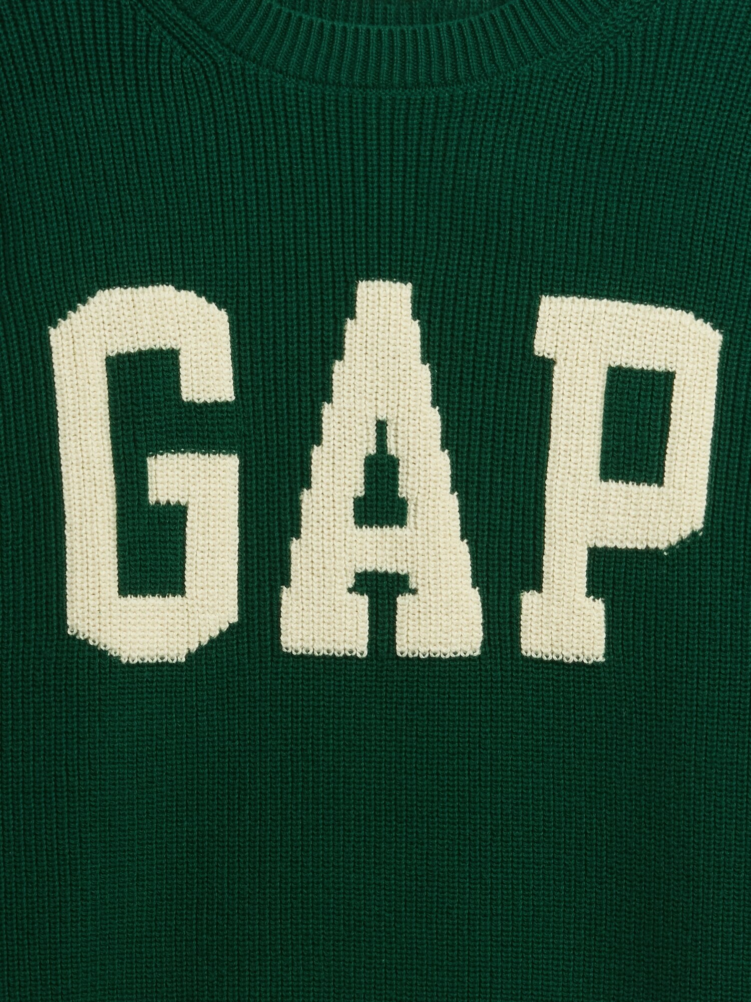 GAPロゴ インターシャセーター-3