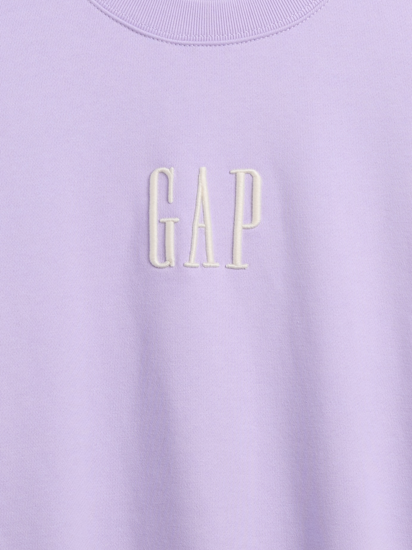 ヘビーウェイト オーバーサイズ GAPロゴ スウェットシャツ-3