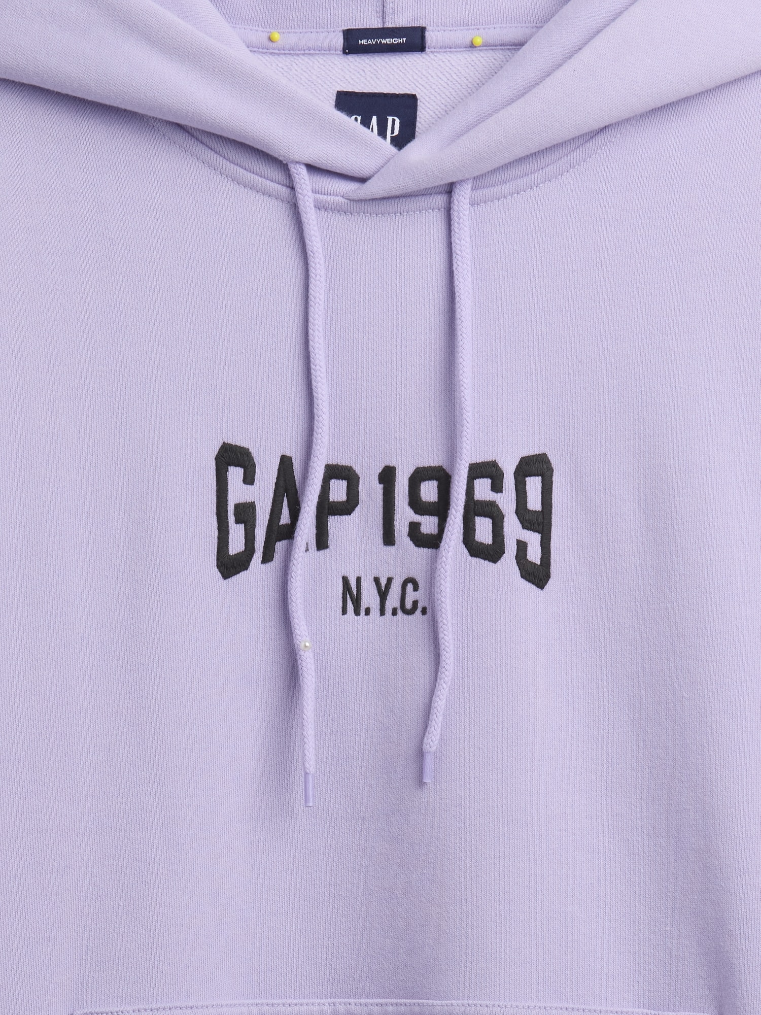 ヘビーウェイト 1969 GAPロゴ パーカー-3