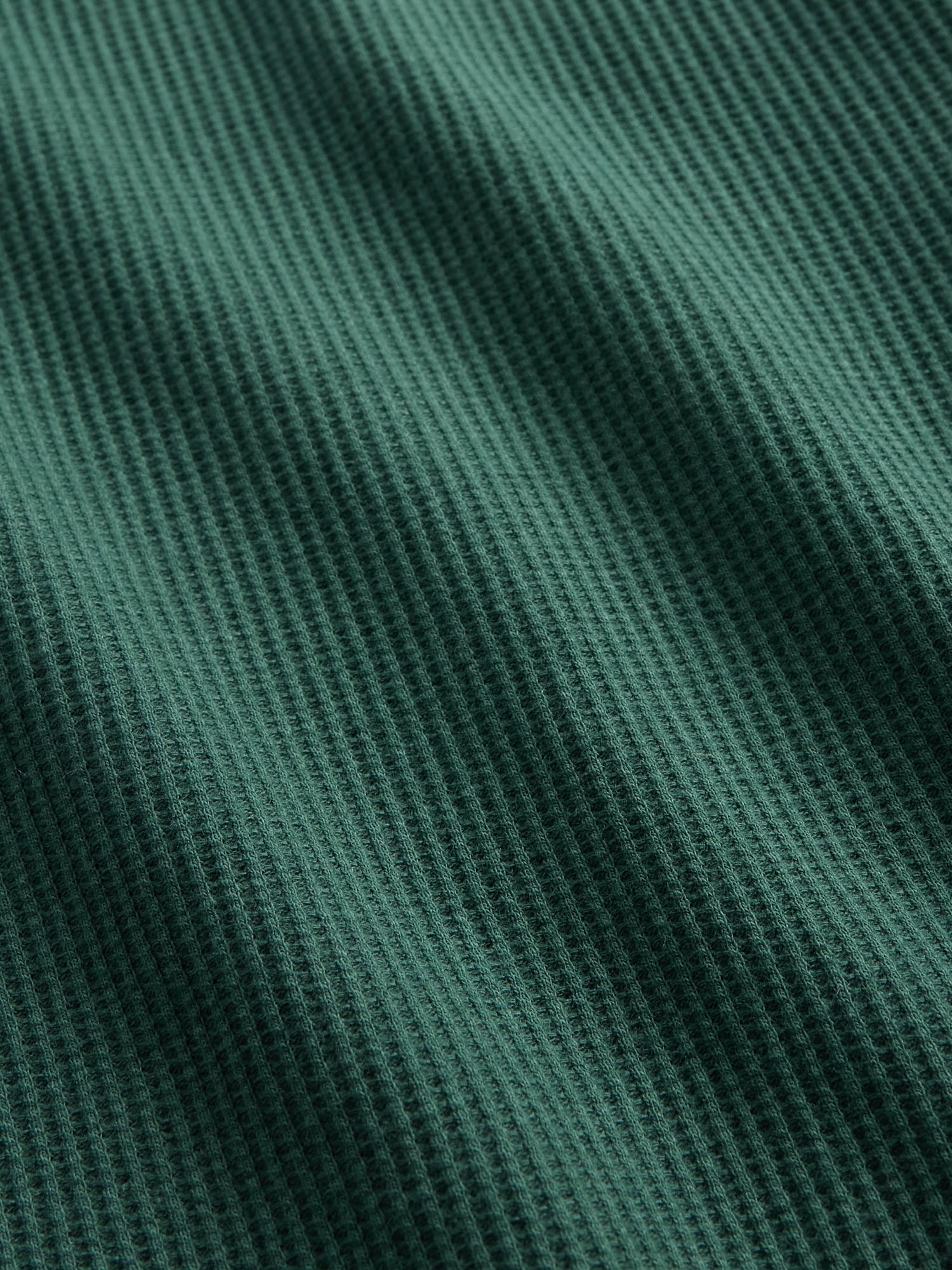 ワッフル チビTシャツ-3