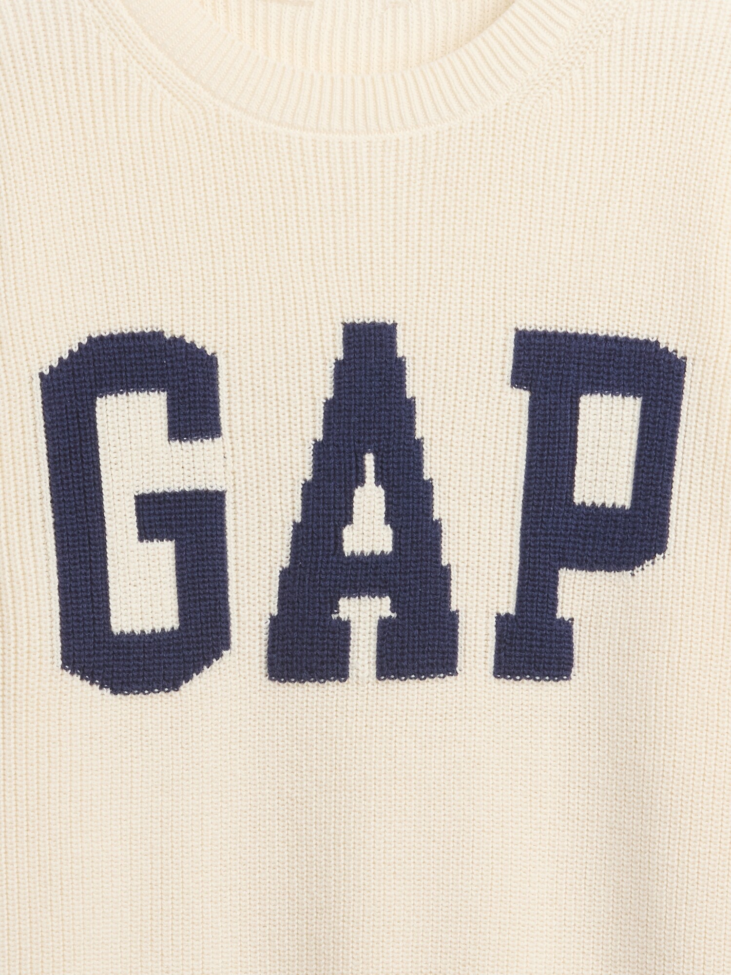 GAPロゴ インターシャセーター-3