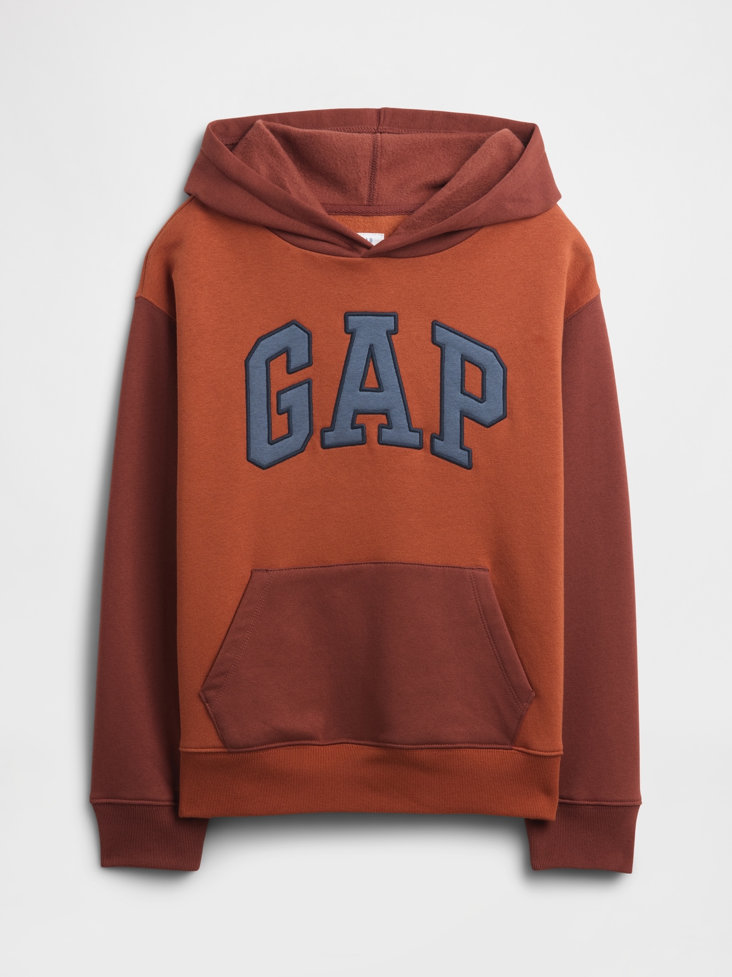 Kids Relaxed Gap Logo Colorblock Hoodie