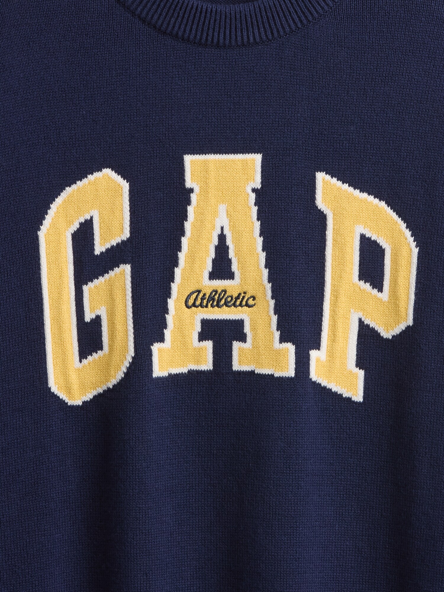 GAPロゴ インターシャ セーター (キッズ)-1