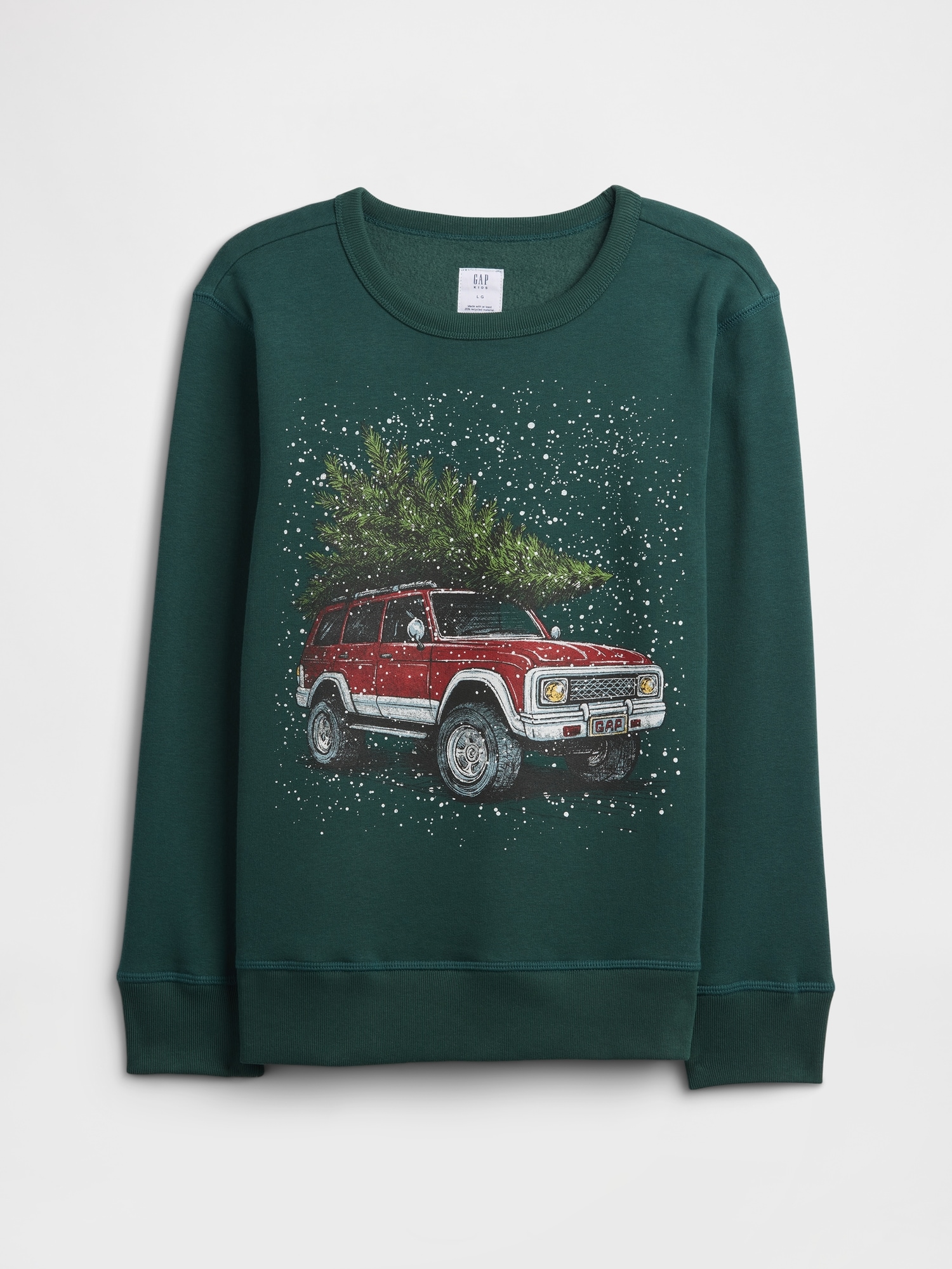Kids Crewneck Graphic Sweatshirt