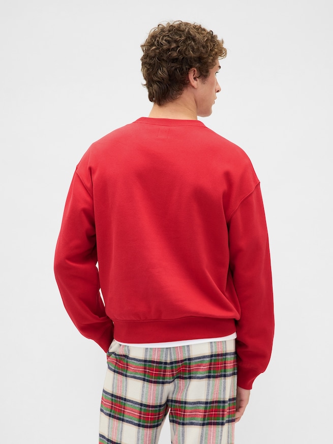 ヴィンテージソフト NAPロゴ スウェットシャツ-2