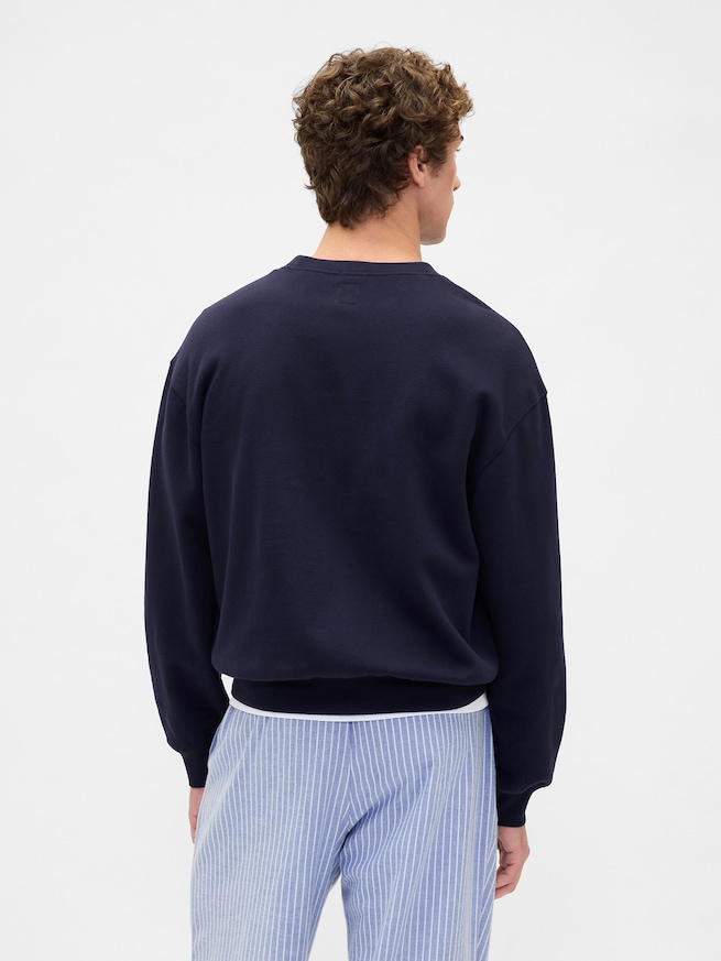 ヴィンテージソフト NAPロゴ スウェットシャツ-2