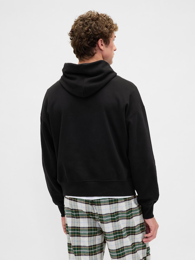 ヴィンテージソフト NAPロゴパーカー-2