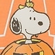 スヌーピー ハロウィン GAPロゴスウェットシャツ (幼児・ベビー)