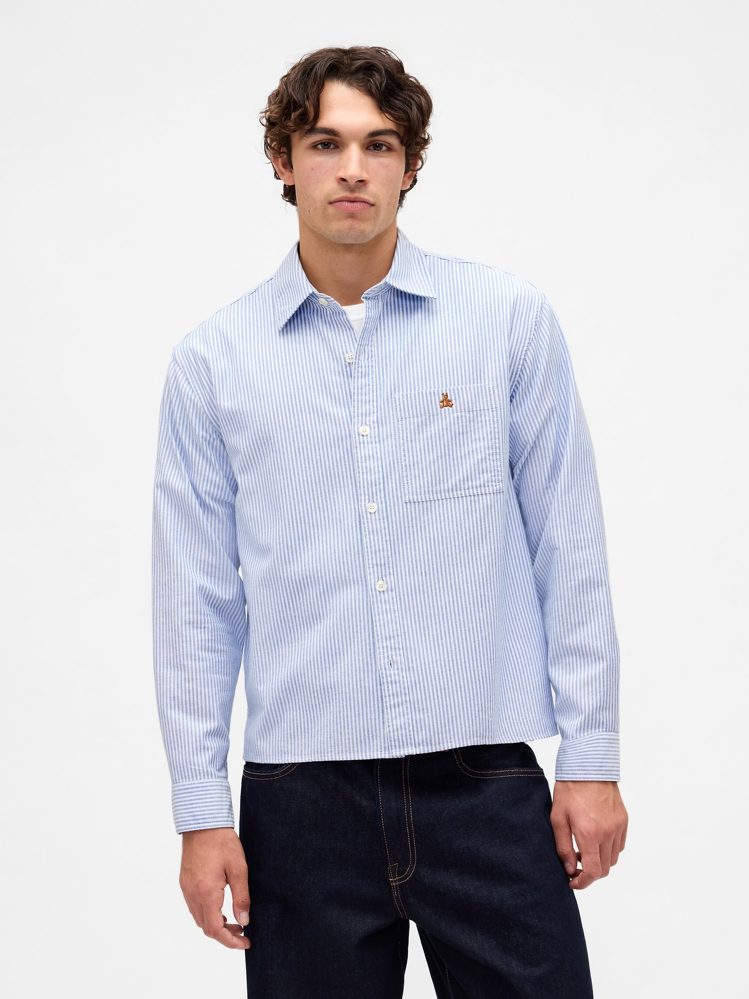 Relaxed Crop Straight-Hem Oxford Shirt