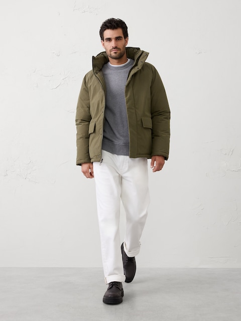 Hooded Puffer