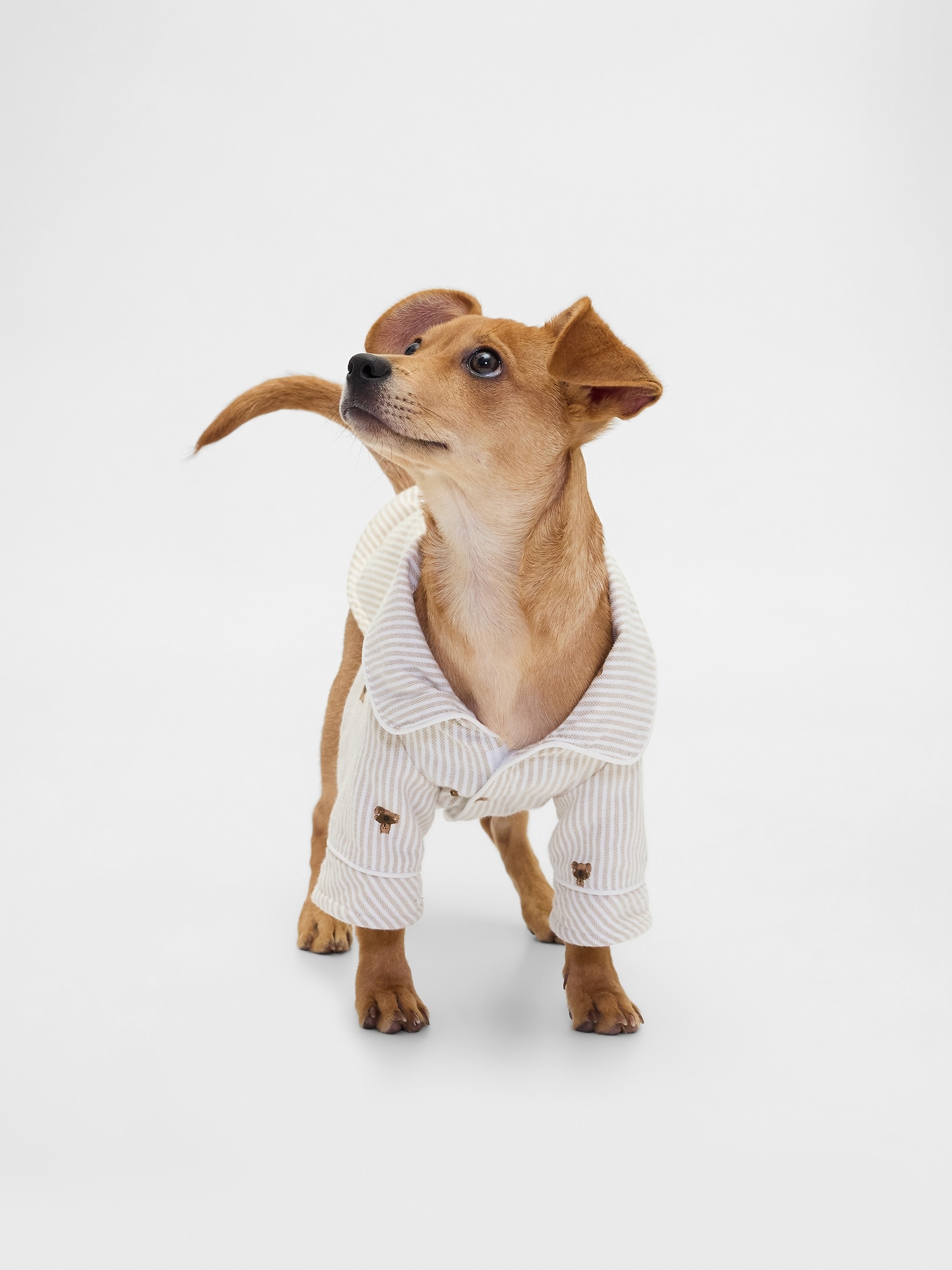 Flannel Pet PJs