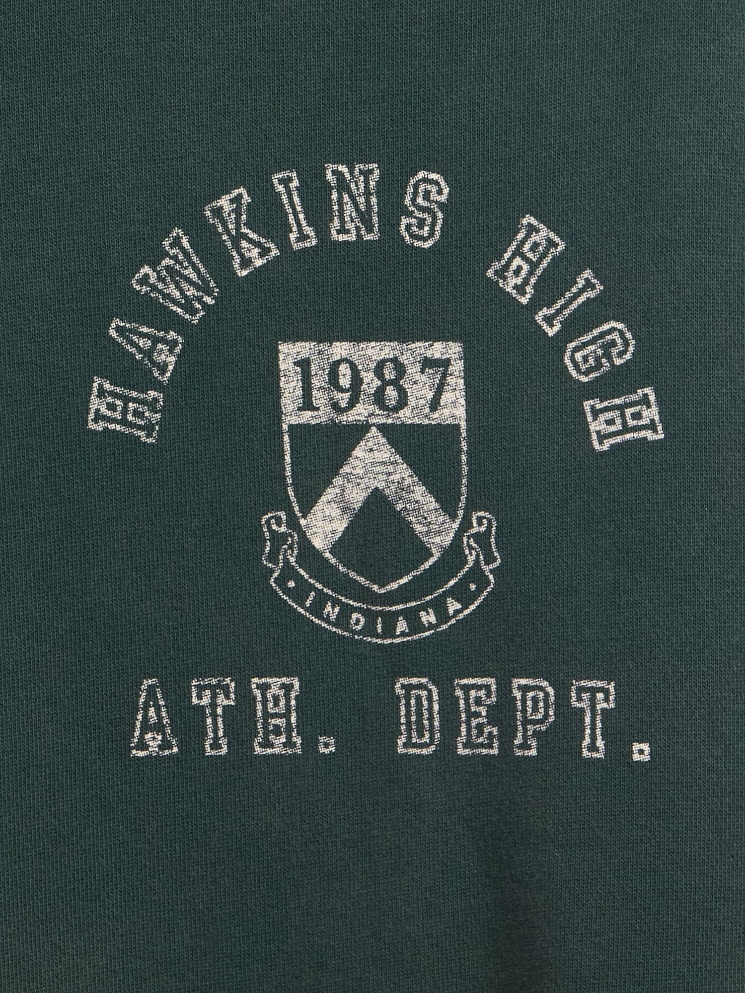 ストレンジャー・シングス ヘビーウェイト パーカー-5