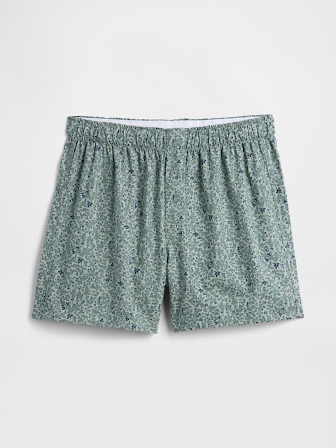 4" Boxers