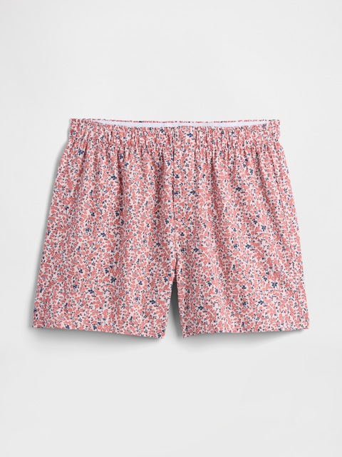 4" Boxers