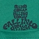 babyGap ブラナンベア ポケットTシャツ