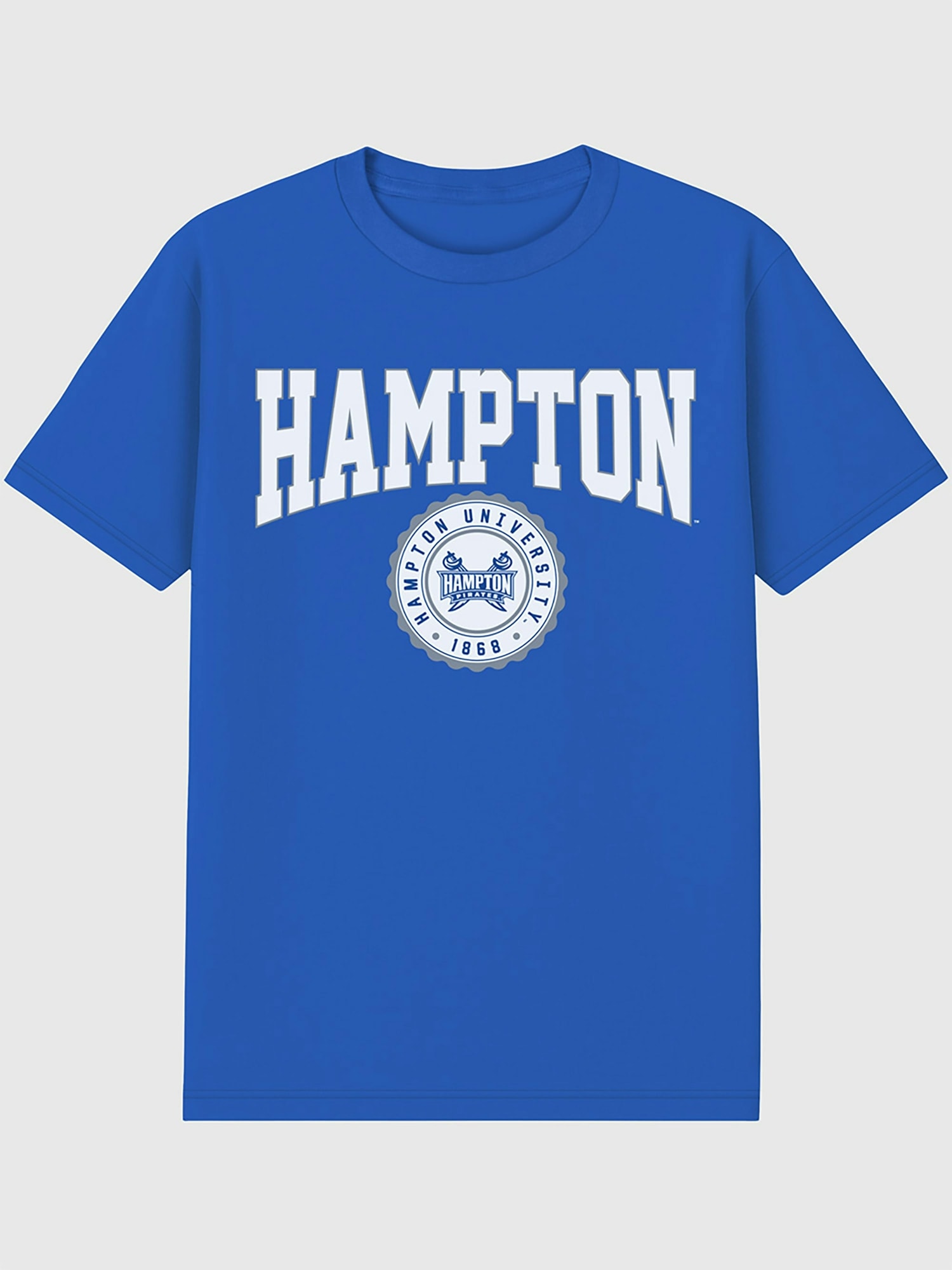 Hampton University Collegiate Graphic T-Shirt for Men