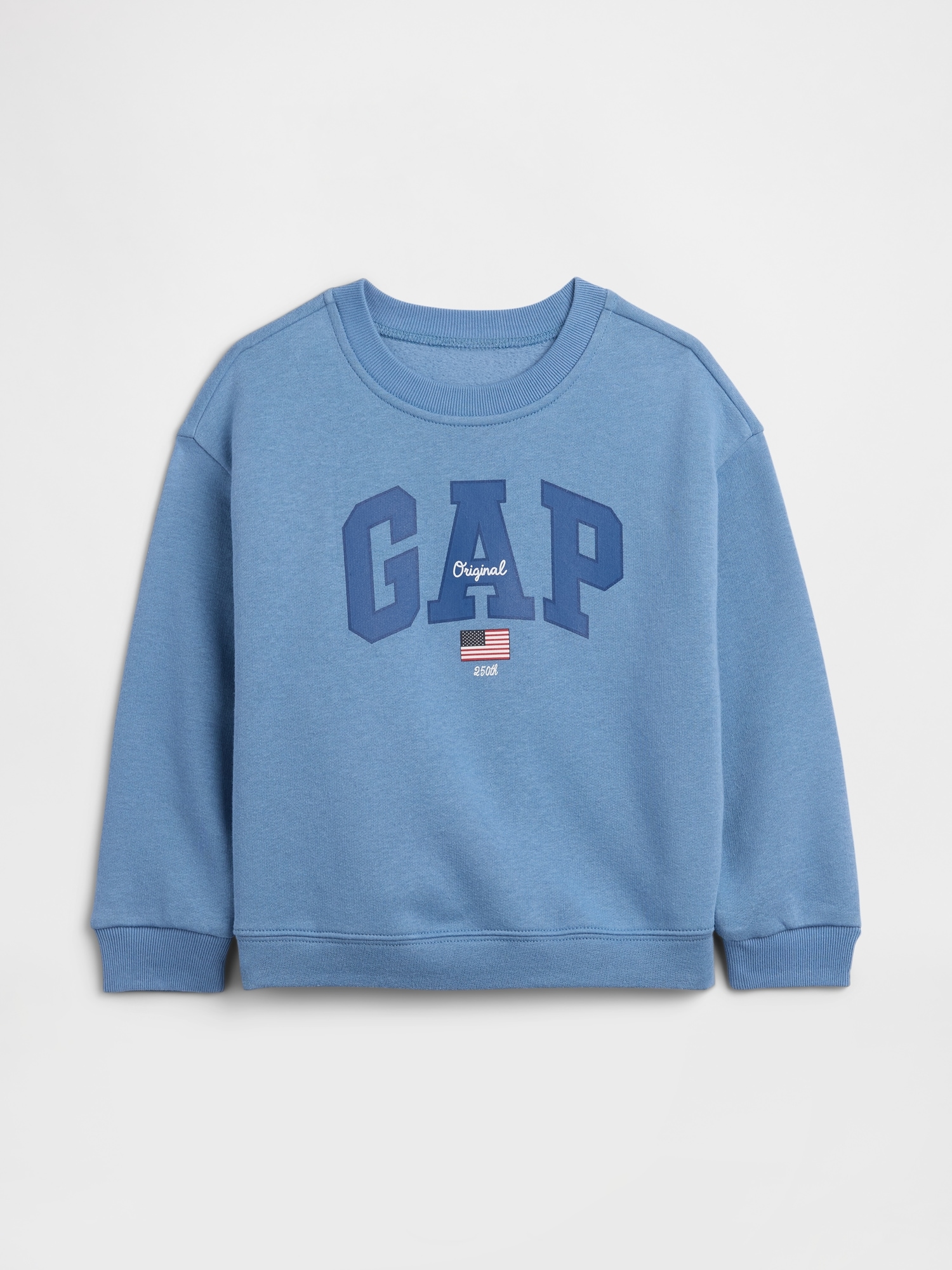babyGap Relaxed USA Logo Sweatshirt