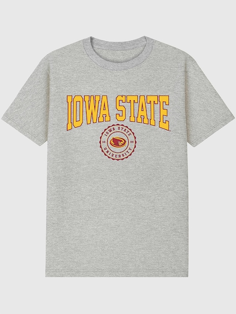 Iowa State University Collegiate Seal Graphic T-Shirt for Men