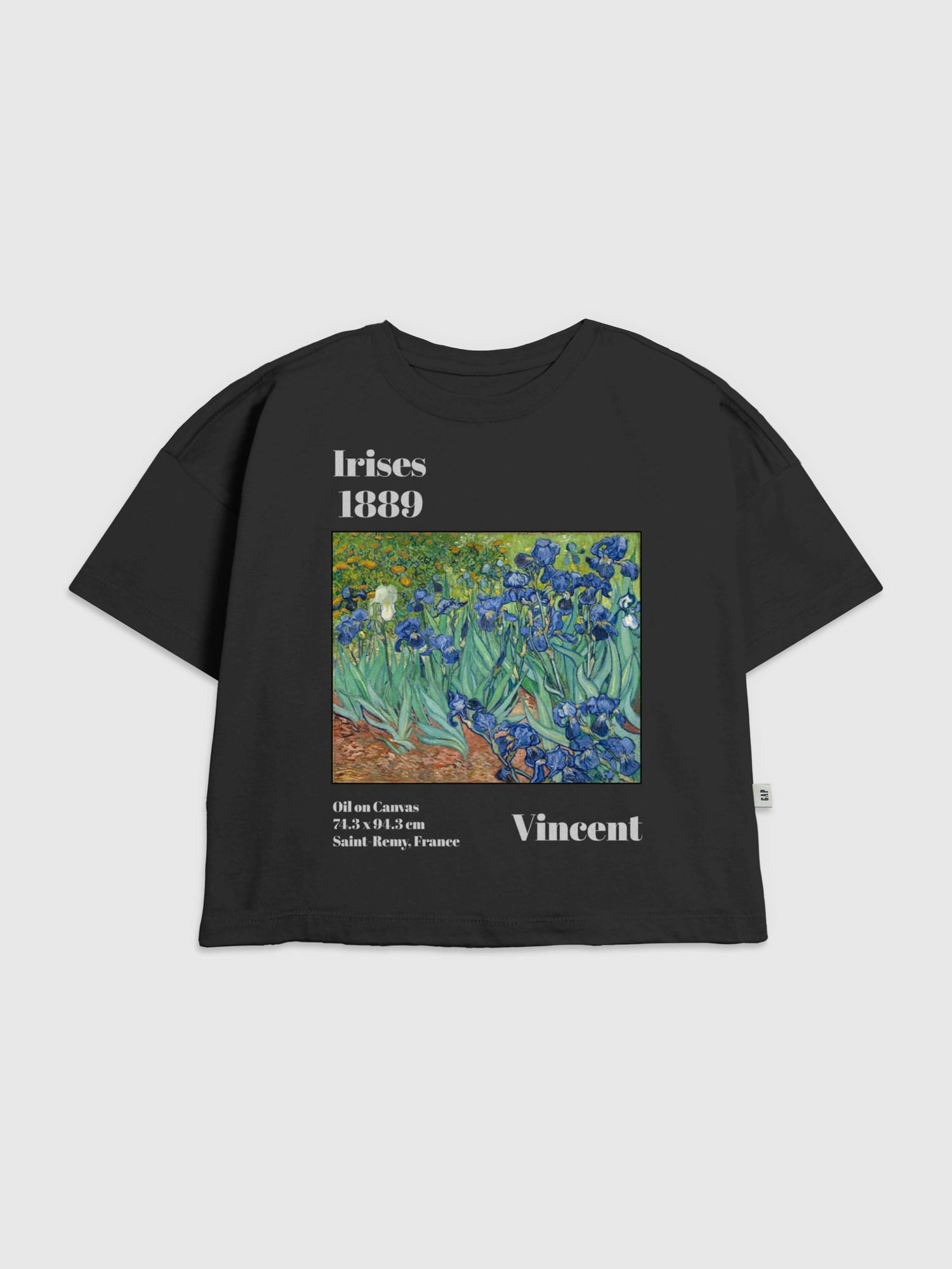 Kids Van Gogh Irises Graphic T-Shirt