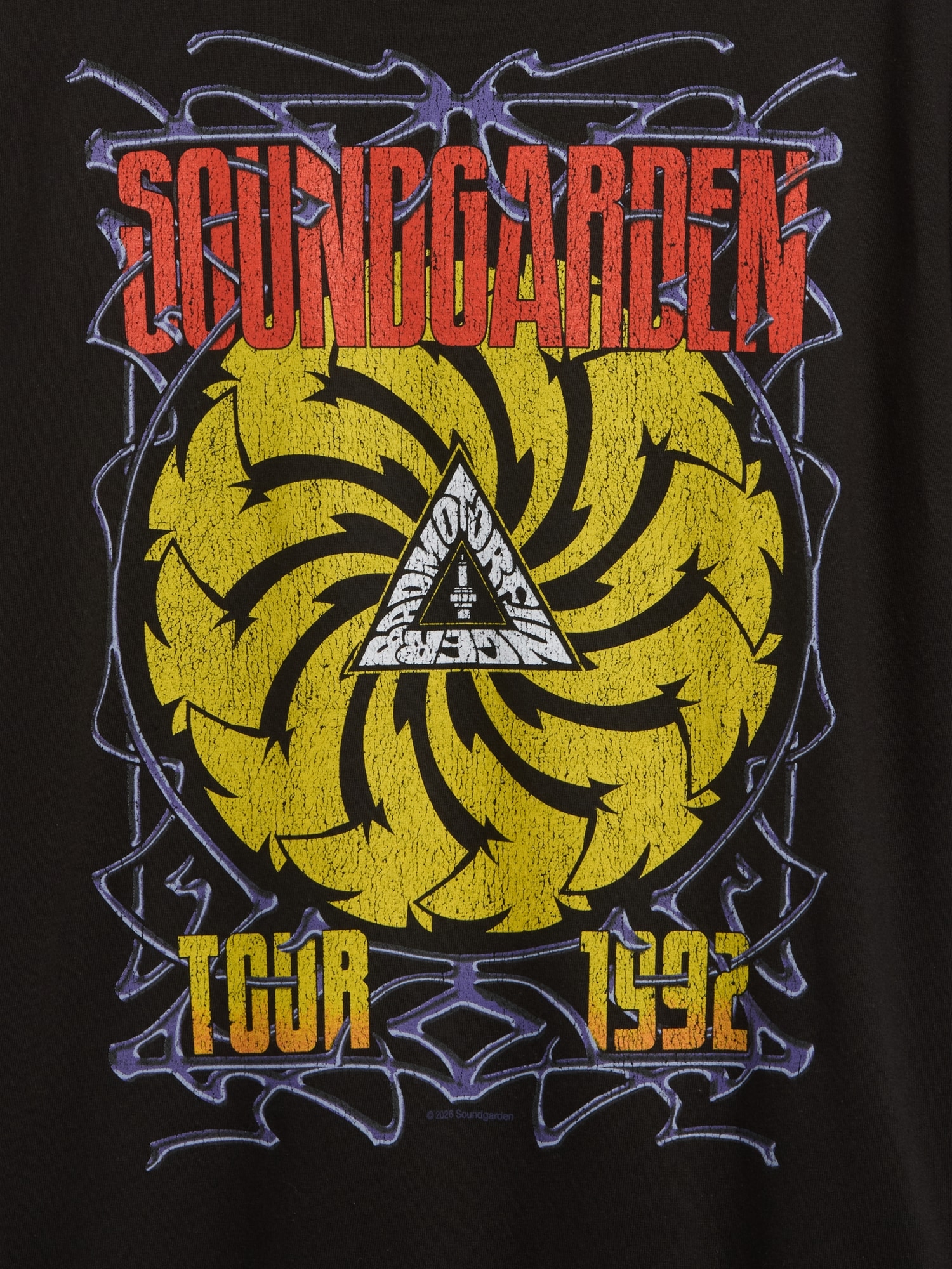 Soundgarden Heavyweight Crop Graphic T-Shirt