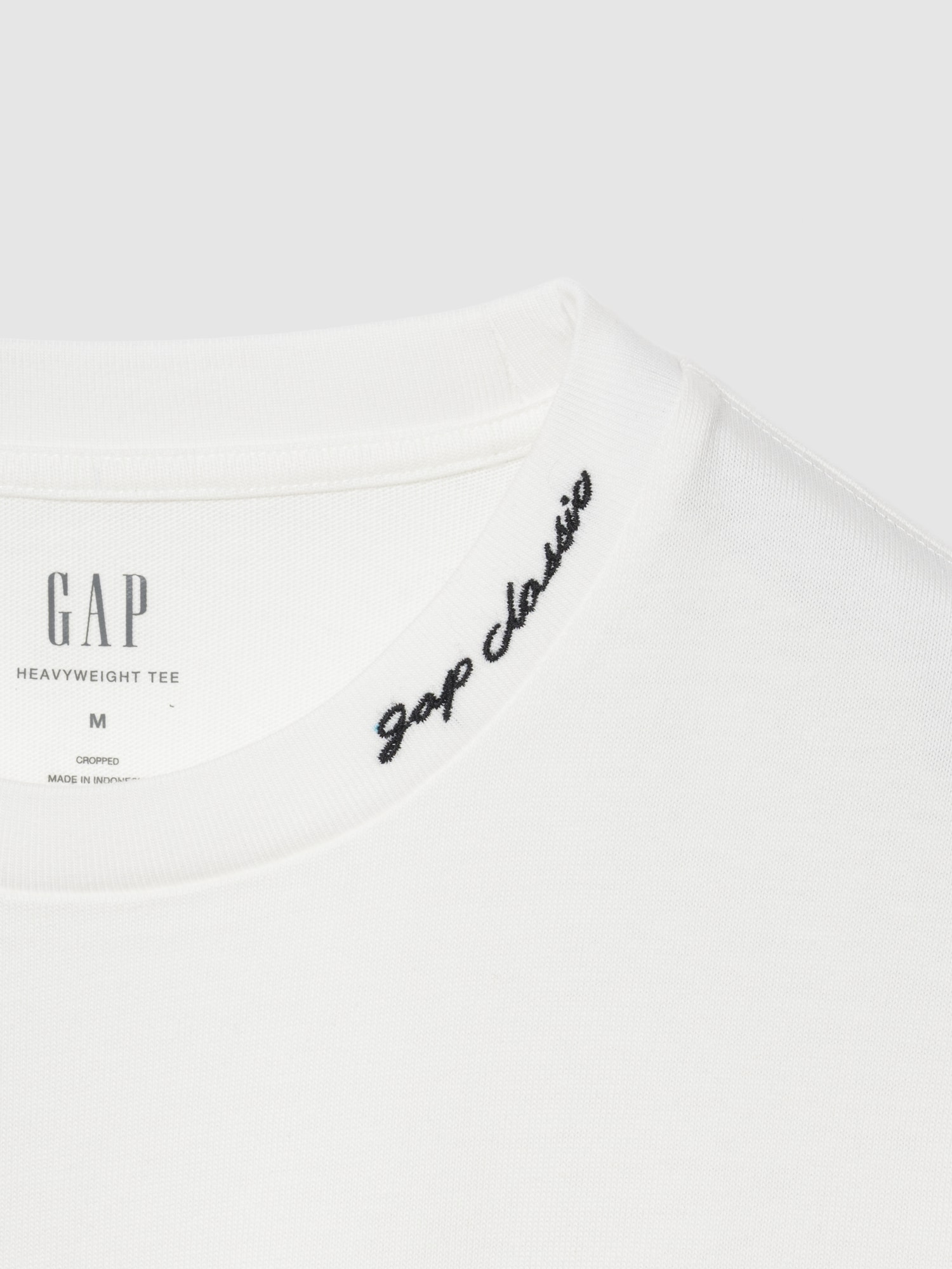 ヘビーウェイト GAPロゴ リラックスフィット クロップドTシャツ-1