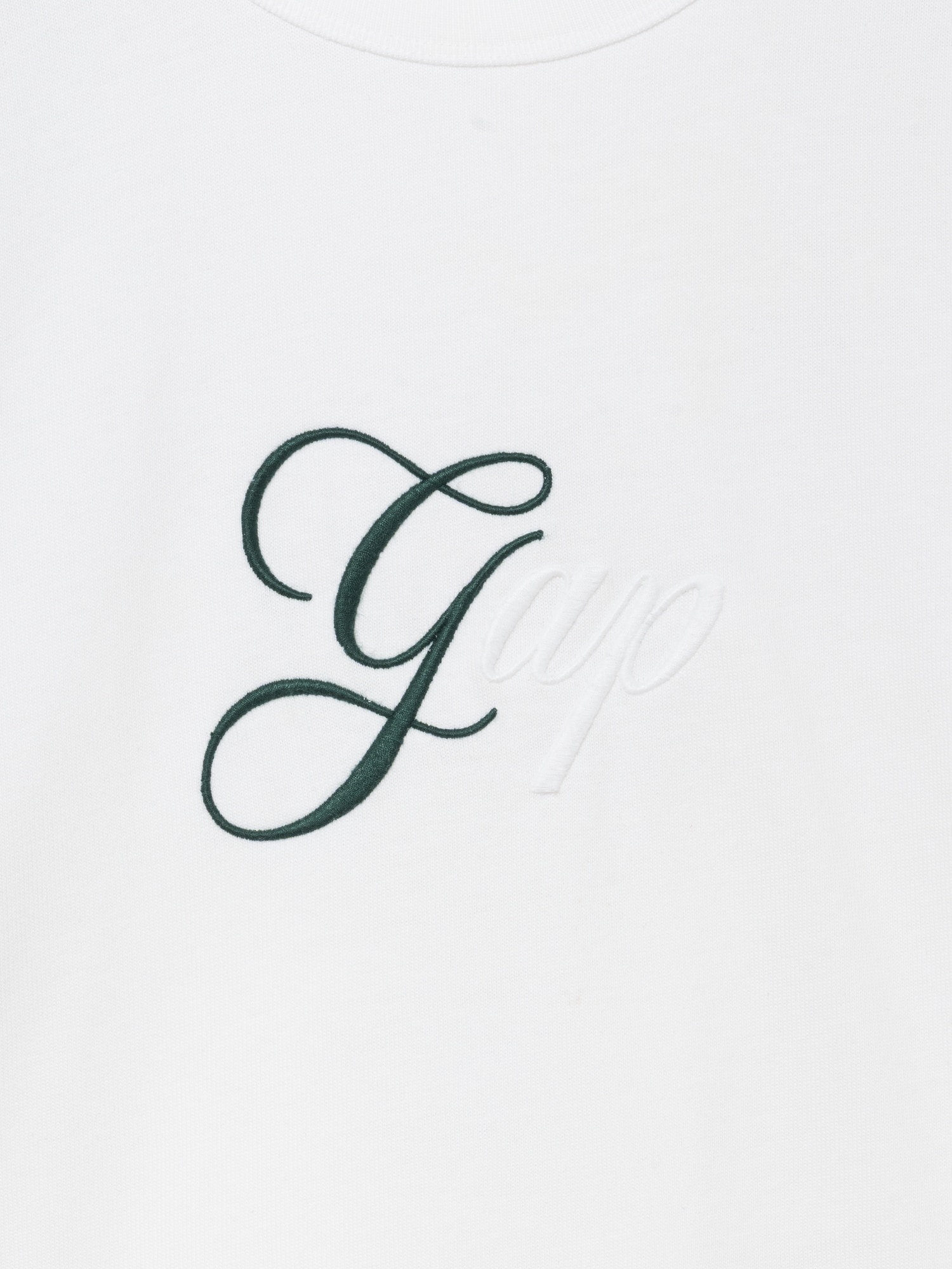 ヘビーウェイト トーンミックス GAPロゴTシャツ-1