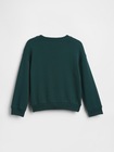babyGap ブラナンベア GAPロゴ スウェットシャツ-1