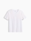 スタンダードVネックTシャツ-7