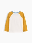 babyGap カラーブロック GAPロゴTシャツ-1