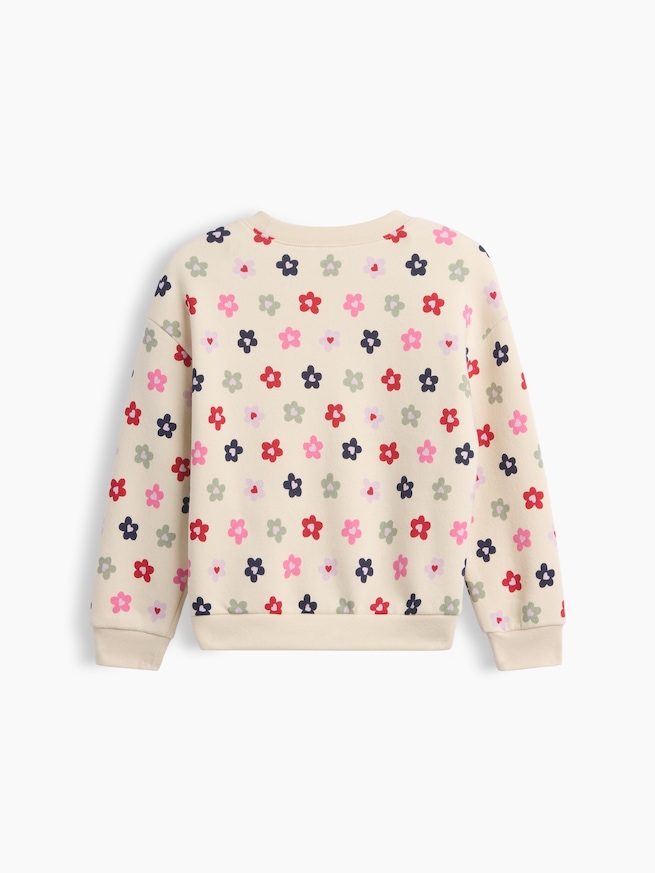 babyGap クルーネック スウェットシャツ-1