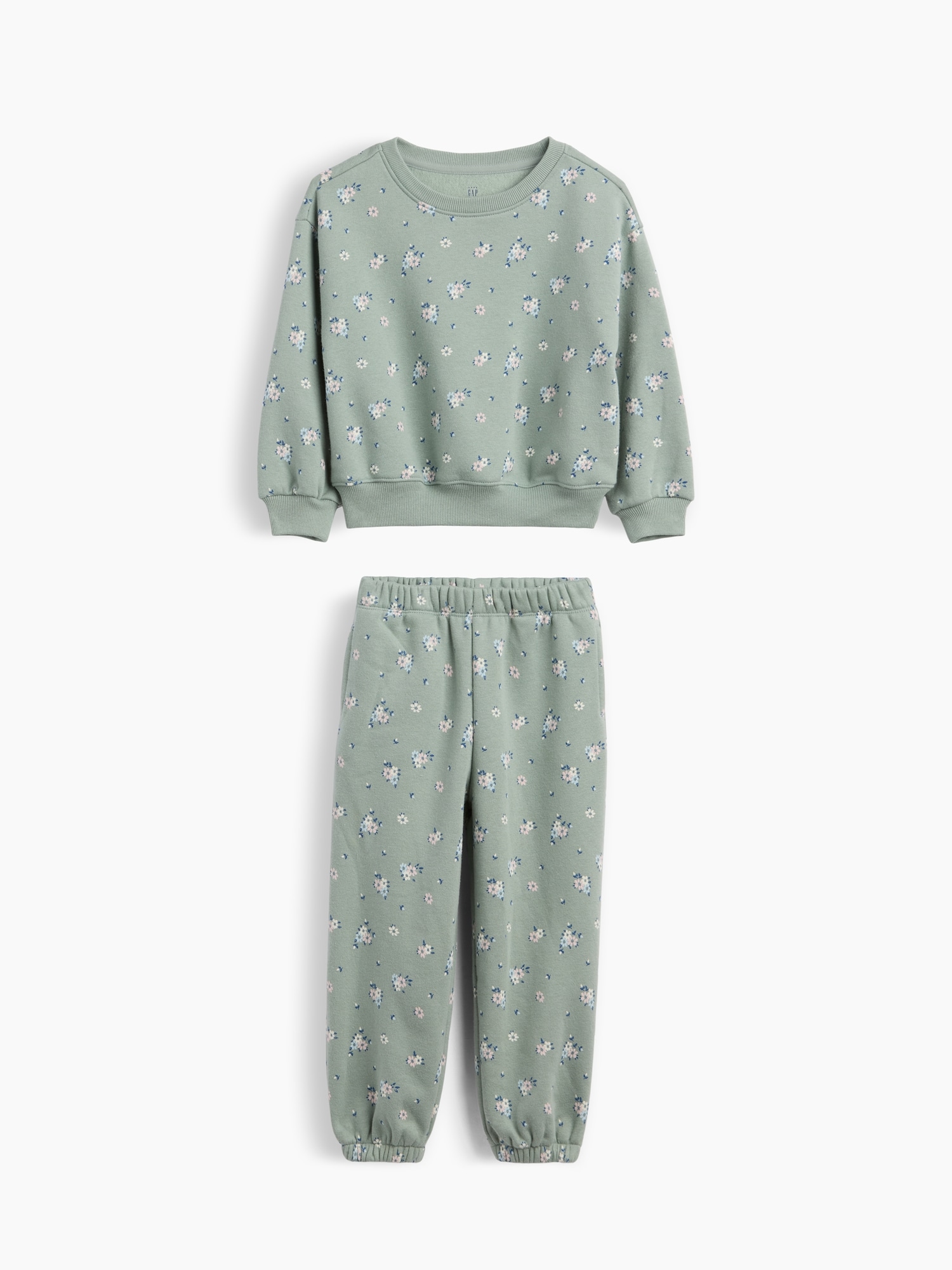 Baby & Toddler VintageSoft Floral Sweat Set