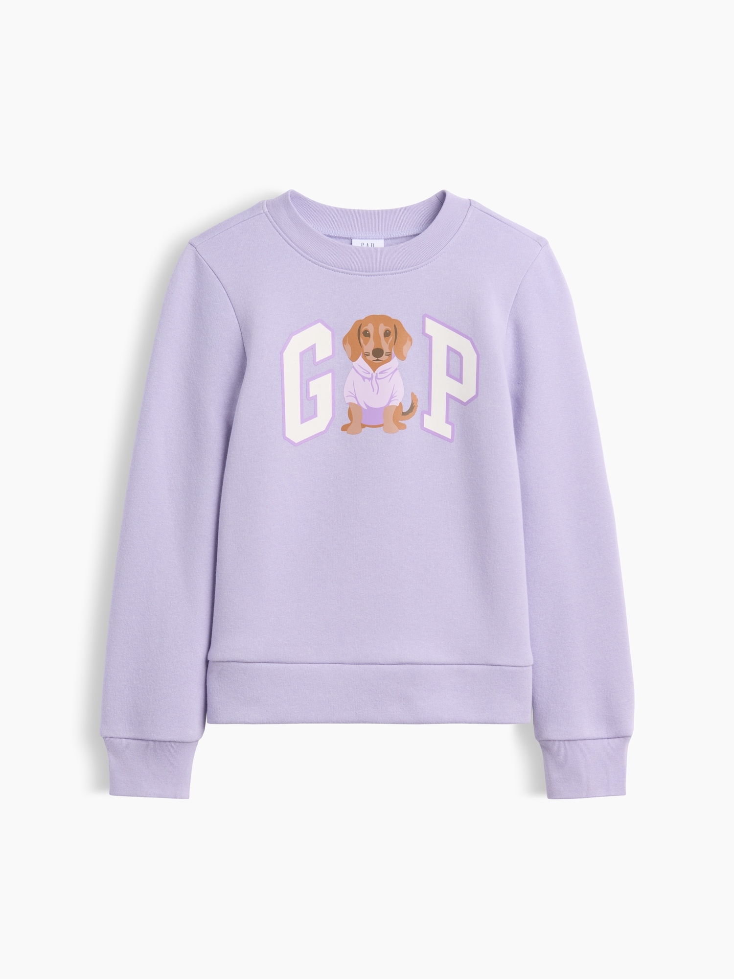 Kids Crewneck Graphic Sweatshirt