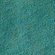 グラフィックTシャツ (キッズ)