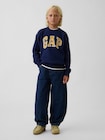 リラックスフィット GAPロゴ インターシャセーター (キッズ)-3