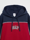 リラックスフィット カラーブロック GAPロゴパーカー-2